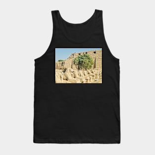 The Avenue Of Rams At Ancient Temple Complex Of Karnak Near Luxor Tank Top